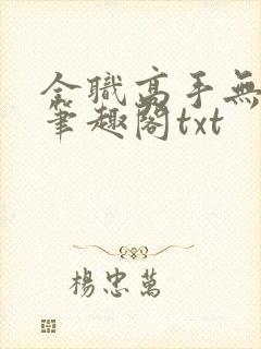 全职高手无弹窗笔趣阁txt