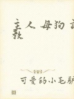 主人 母狗 调教