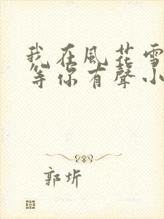 我在风花雪月里等你有声小说封面
