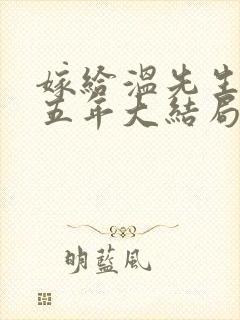 嫁给温先生的第五年大结局小说