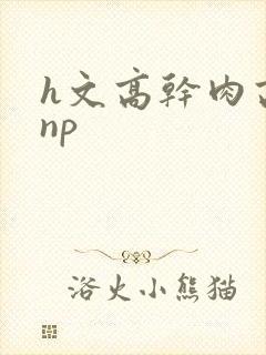 h文高干肉高辣np封面