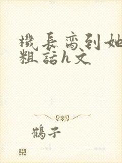 机长脔到她哭h粗话h文