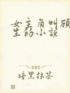 女主角叫顾晚重生的小说