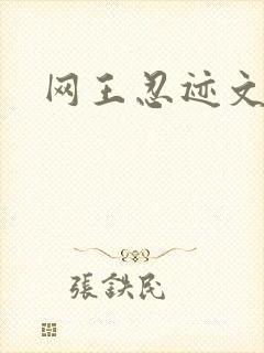 网王忍迹文
