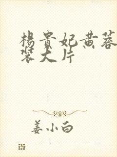 杨贵妃黄蓉版古装大片