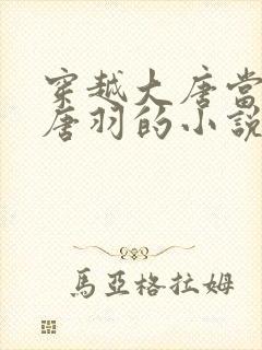 穿越大唐当太子唐羽的小说封面