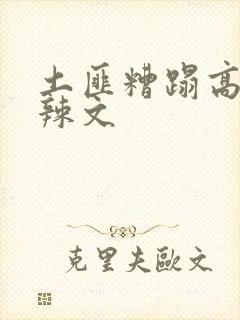 土匪糟蹋高h肉辣文