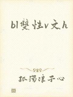 bl双性v文h封面