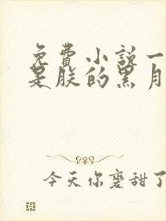 免费小说一皇后是朕的黑月光