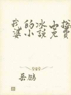 我的冰山总裁老婆小说免费阅读