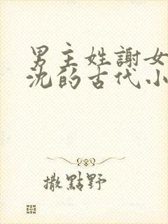 男主姓谢女主姓沈的古代小说