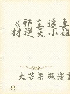 《邪王追妻:废材逆天小姐》txt