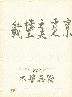 红楼之贾宝玉大战王夫人小说