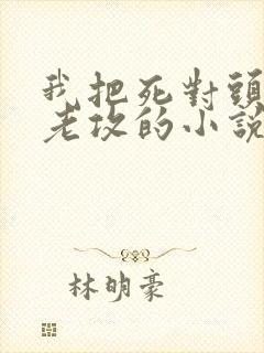 我把死对头养成老攻的小说封面