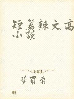 短篇辣文高h文小说
