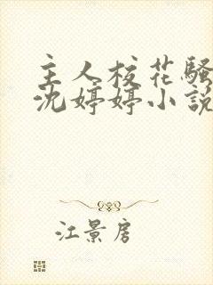 主人校花骚母狗沈婷婷小说封面