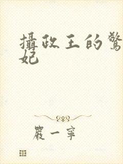 摄政王的惊世嫡妃