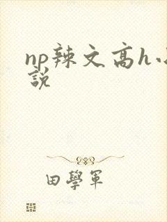 np辣文高h小说
