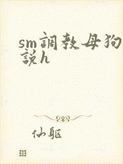 sm调教母狗小说h封面