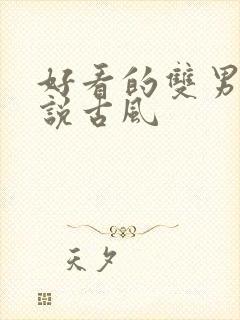 好看的双男主小说古风