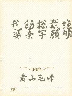 我的总裁绝色老婆秦宇颜明玉小说免费阅读封面