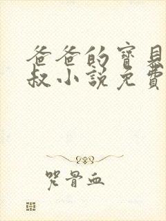 爸爸的宝贝李叔叔小说免费阅读