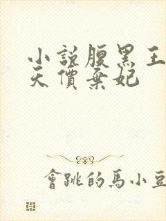 小说腹黑王爷的天价弃妃