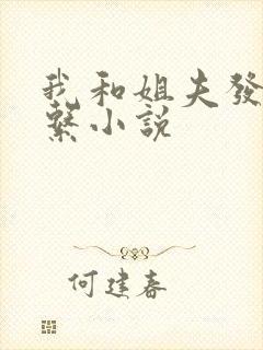 我和姐夫发生关系小说