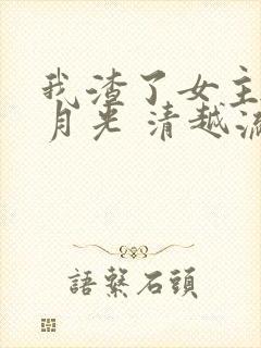 我渣了女主的白月光 清越流歌