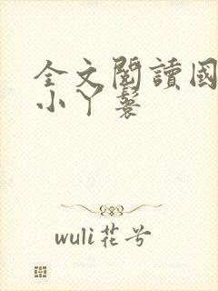 全文阅读国公府小丫鬟封面