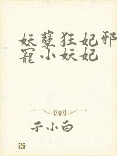 妖孽狂妃邪君溺宠小妖妃封面