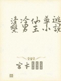 清冷仙尊逃跑记双男主小说封面