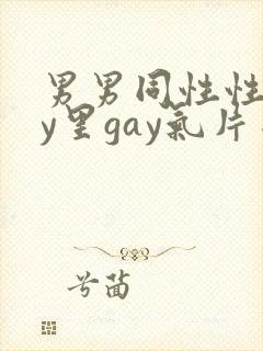 男男同性性gay里gay气片网站封面