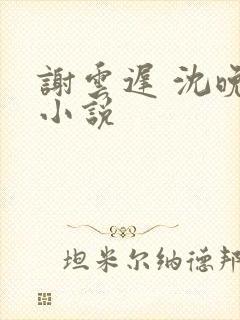 谢云迟 沈晚梨小说