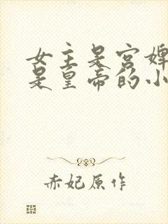 女主是宫婢男主是皇帝的小说