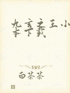 九玄之王小说全本下载封面