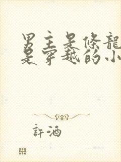 男主是条龙女主是穿越的小说