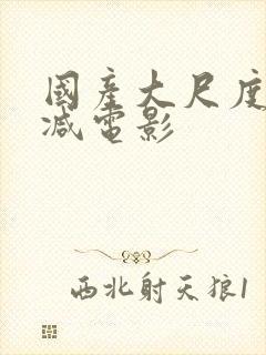 国产大尺度无删减电影