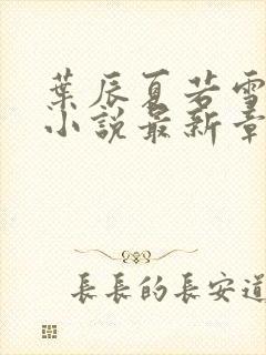 叶辰夏若雪孙怡小说最新章节