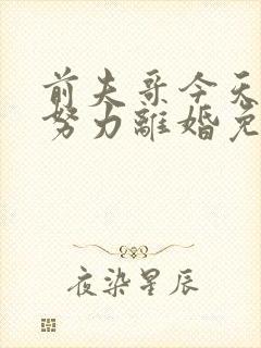 前夫哥今天也在努力离婚免费阅读