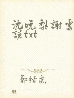 沈晚梨谢云迟小说txt