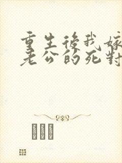 重生后我嫁给了老公的死对头 短剧