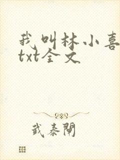 我叫林小喜乖宝txt全文