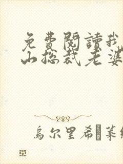 免费阅读我的冰山总裁老婆小说封面