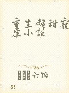 重生超甜宠文无虐小说