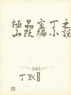 极品家丁之董青山改编小说