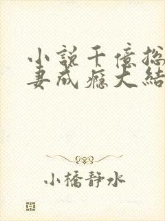 小说千亿总裁宠妻成瘾大结局