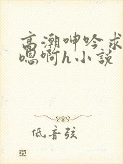 高潮呻吟求饶h嗯啊h小说封面