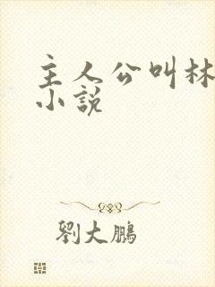 主人公叫林天的小说