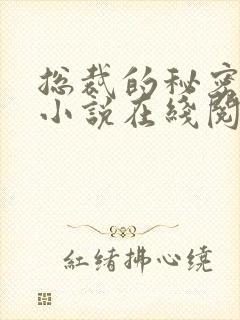 总裁的秘密情人小说在线阅读免费